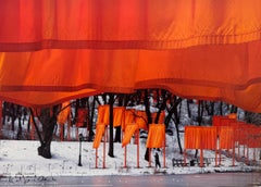 The Gates - original Christo modern art photograph New York Central Park