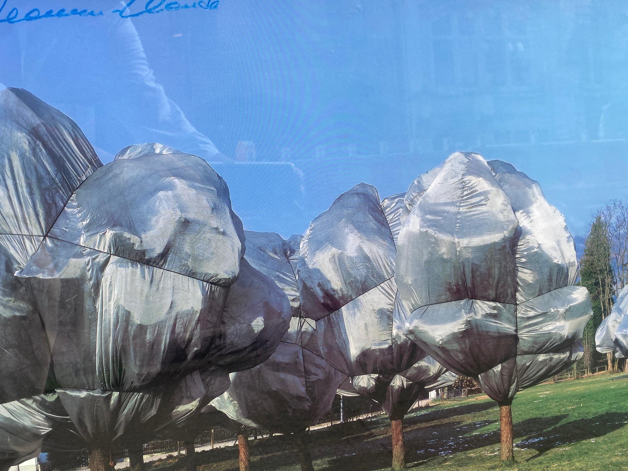 Wrapped Trees Nr. 11 - foto originale Christo di arte moderna, paesaggio Svizzera 1