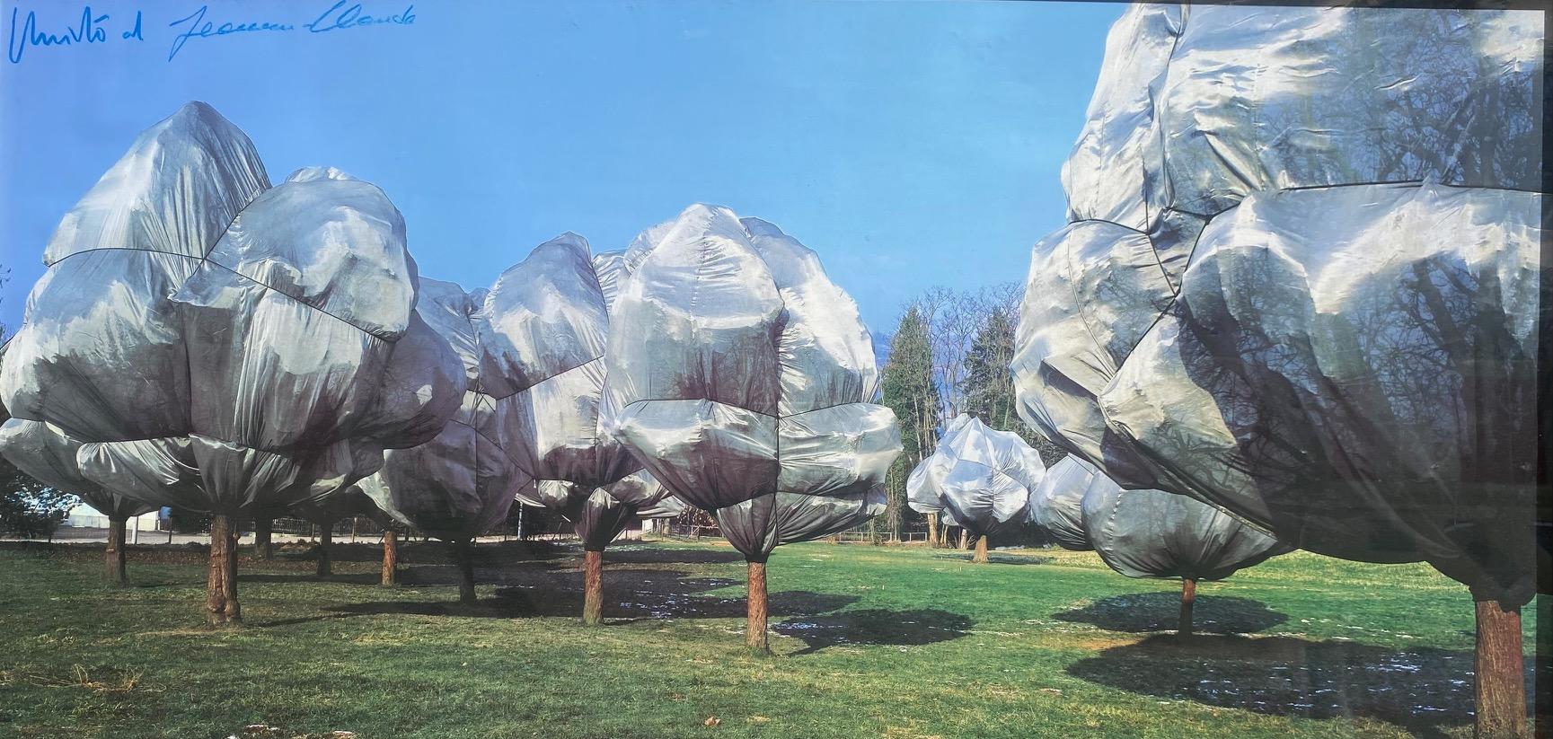 Wrapped Trees Nr. 11 - original Christo modern art photo landscape Switzerland For Sale 3