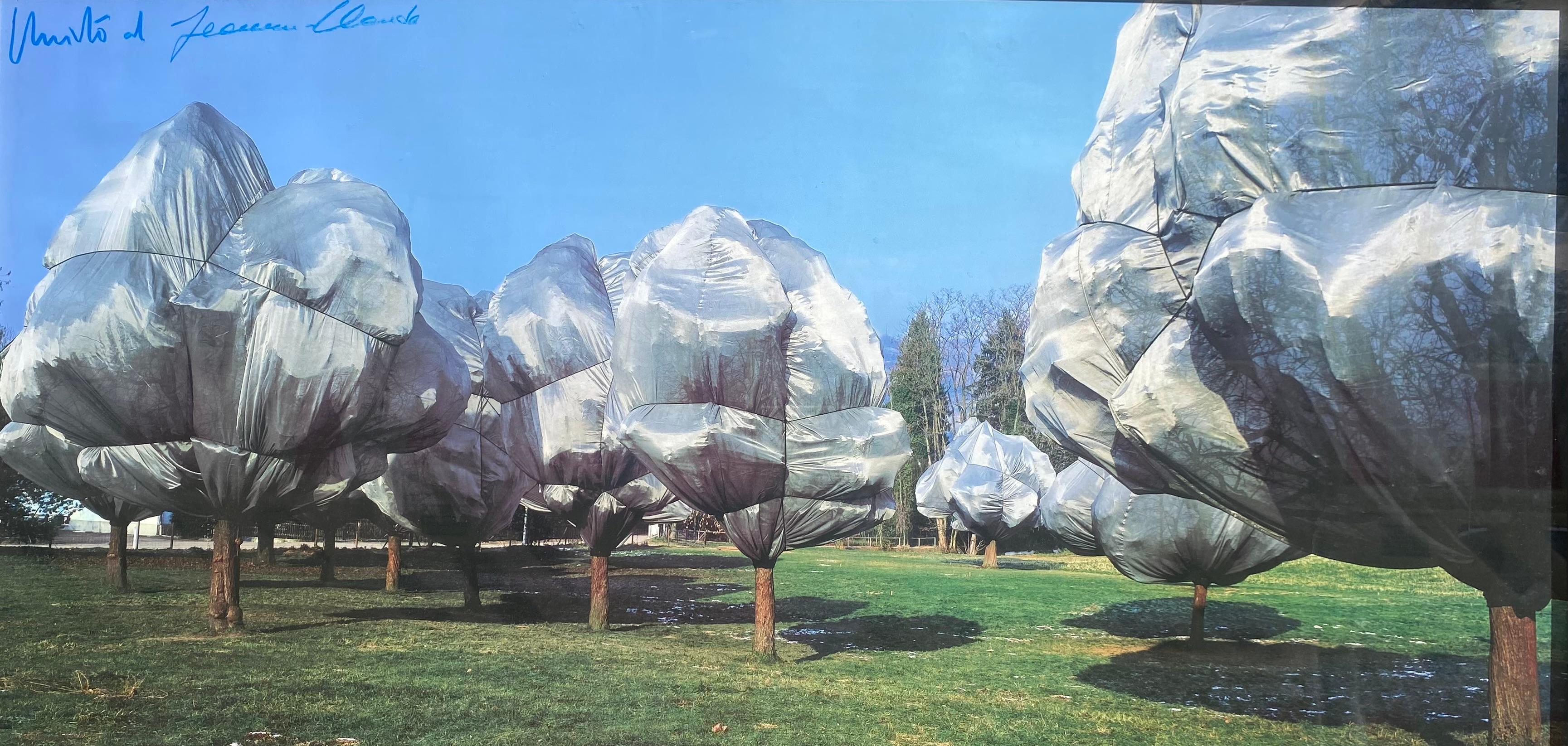 "Wrapped Trees Nr. 11" est une photographie de 1987, signée à l'origine (par Christo et Jeanne Claude), à tirage limité, de l'artiste mondialement connu Christo, représentant les arbres enveloppés dans le jardin de la Fondation Beyeler près de Bâle,
