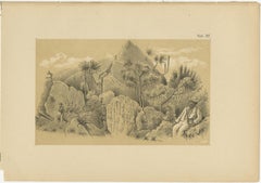 Christoffelberg Curaçao Summit Ascent - Antique Landscape Illustration, 1888