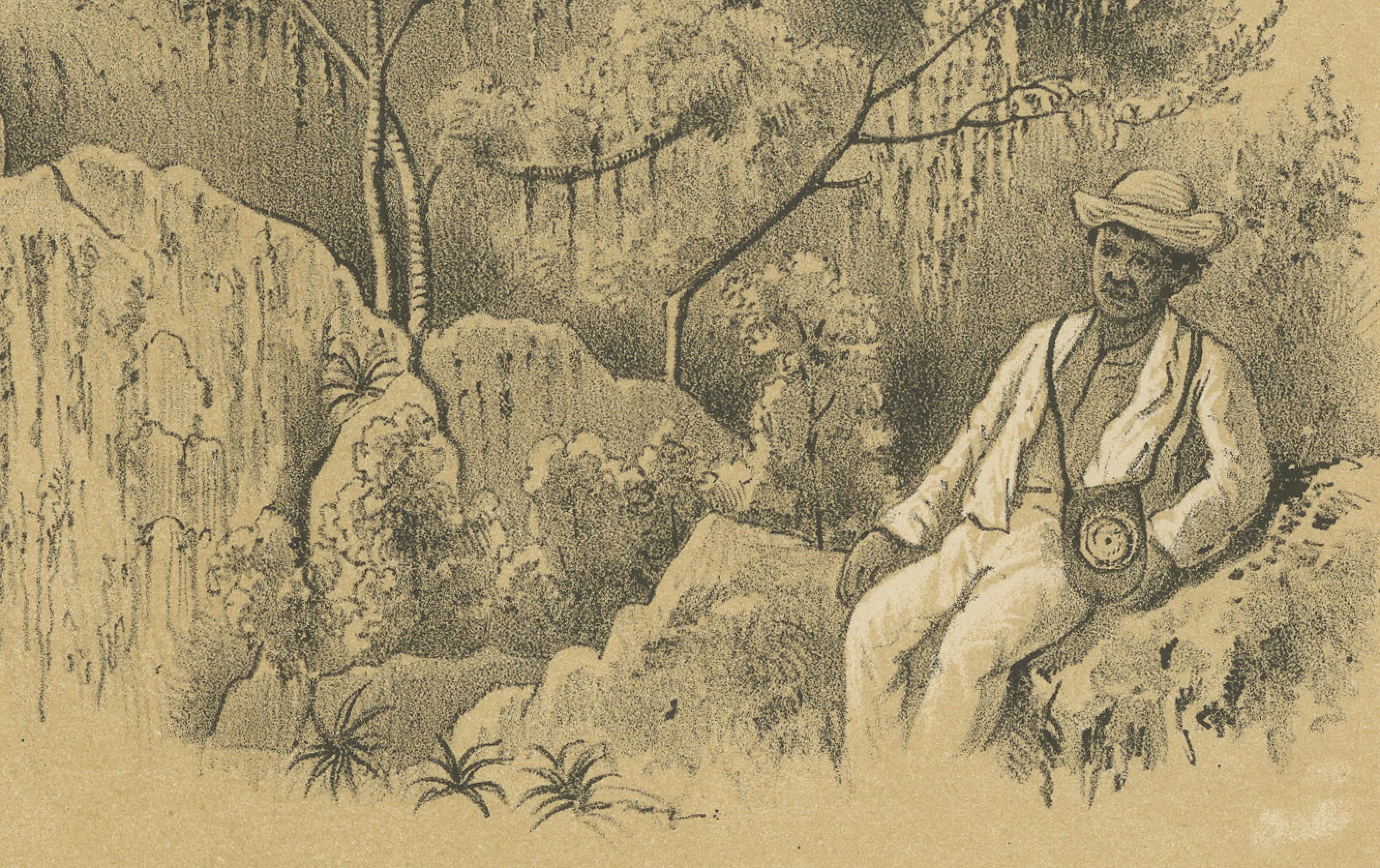 Christoffelberg Curaçao Summit Ascent - Antique Landscape Illustration, 1888