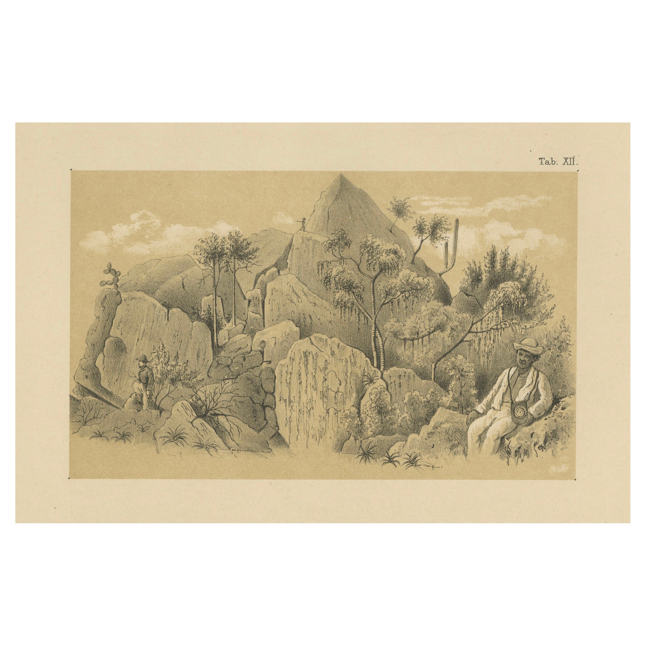 Montée au sommet de Christoffelberg Curaçao - Illustration paysagère ancienne, 1888