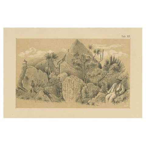 Christoffelberg Curaçao Summit Ascent - Antique Landscape Illustration, 1888
