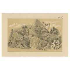 Christoffelberg Curaçao Summit Ascent - Antique Landscape Illustration, 1888