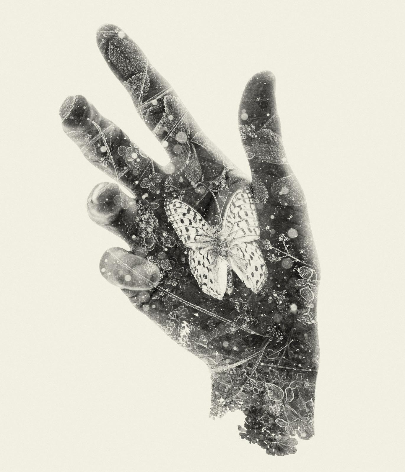 Landscape Photograph Christoffer Relander - Papillon assis - photographie multi-expositions de la main et de la nature en noir et blanc