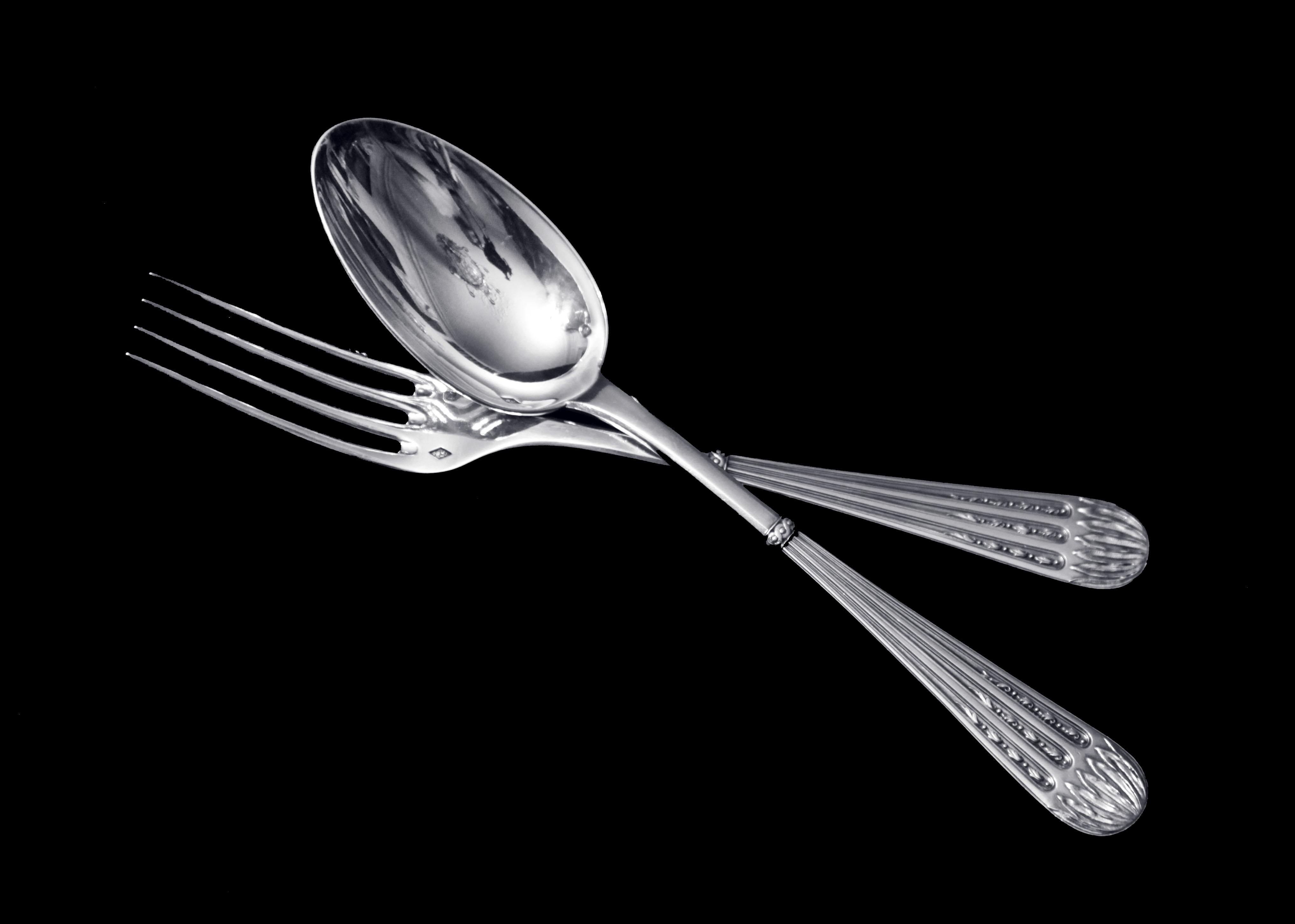 Christofle (Cardeilhac) - 121 pezzi. Antique French Sterling Silver Flatware Set! In condizioni buone in vendita a Wilmington, DE