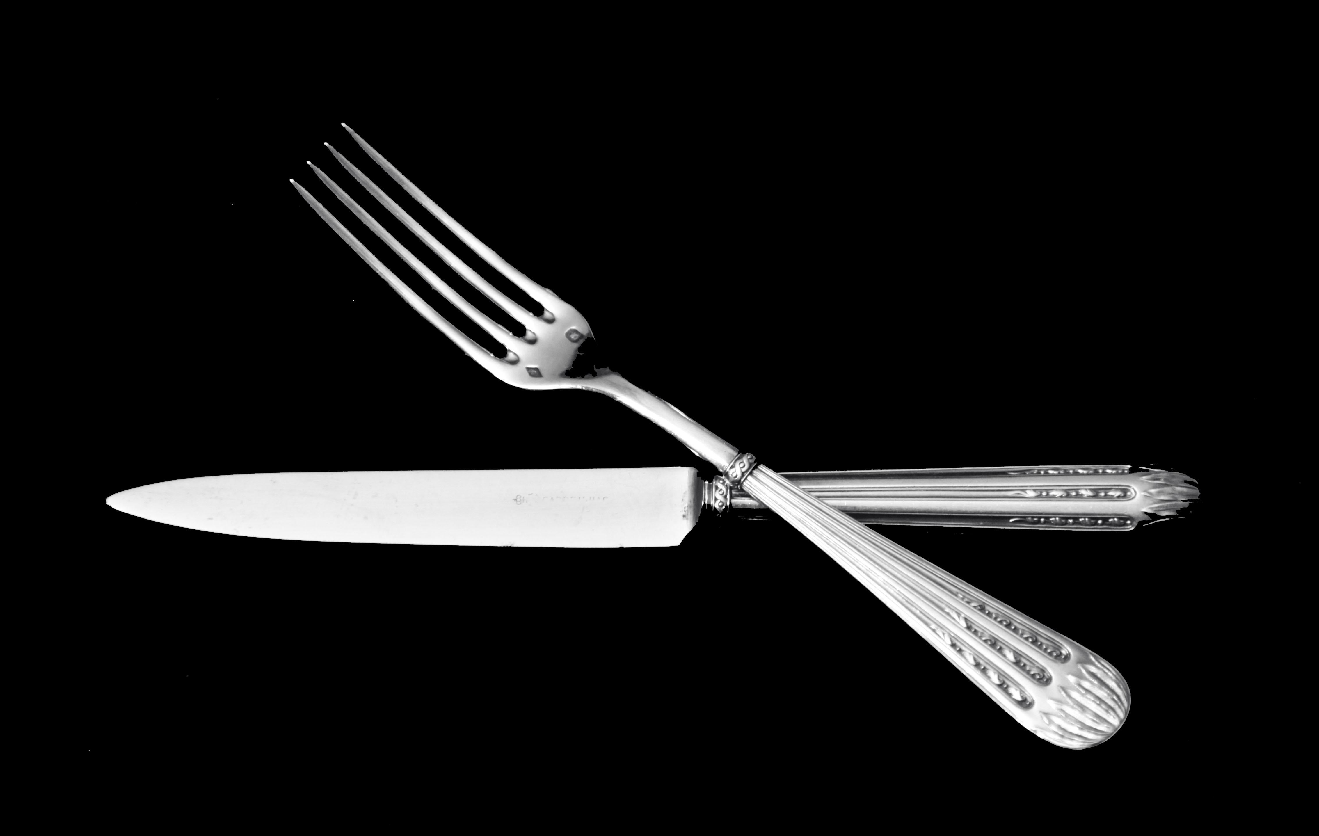 XIX secolo Christofle (Cardeilhac) - 121 pezzi. Antique French Sterling Silver Flatware Set! in vendita