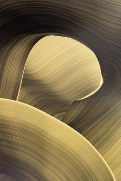 German Contemporary Art by Christoph Schrein - Miriad