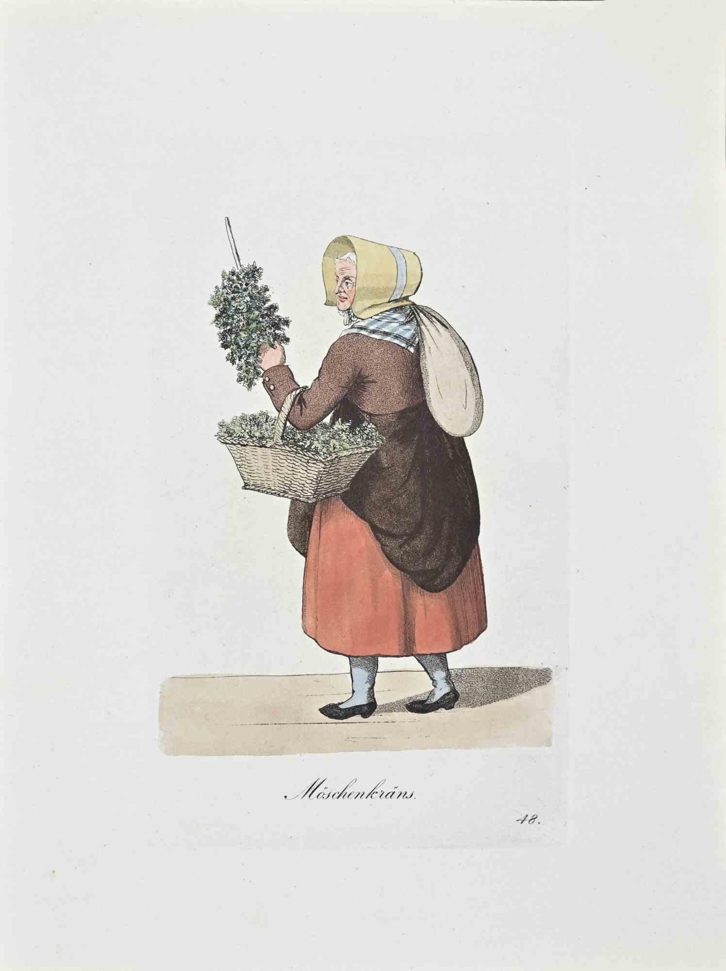 Moschenkrans- Etching by Christoph Suhr - 1808