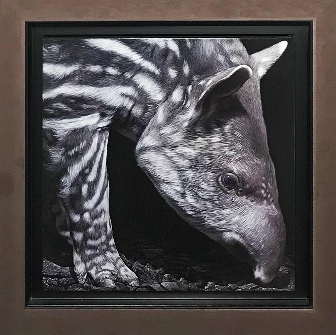Peau de Terre (jeune tapir), acrylic on medium, size with frame 43 x 43 cm - Painting by Christophe Drochon