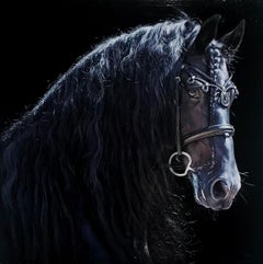 "STOER VAN BOREEL, Cheval frison" 60x60cm, Acrylic on aluminum Dibond