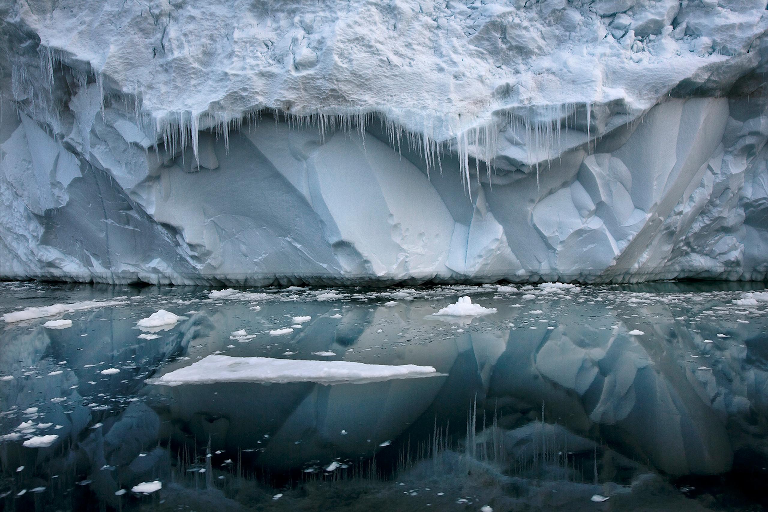 iceberg winter edition