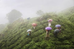 Die Ernte von Christophe Jacrot - Kunstfotografie, Indien, Frauen, Regenbogen