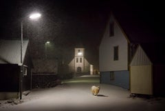Die Schafe von Christophe Jacrot – Kunstfotografie, Tier, Nacht, Straße