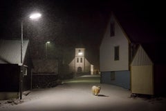 The Sheep by Christophe Jacrot - winter photography, Faroe Islands, Denmark