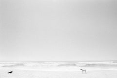 CHRISTOPHE VON HOHENBERG "Two Dogs on the Beach" black and white photography