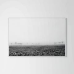 Nebbia su Nantucket Serengeti #1