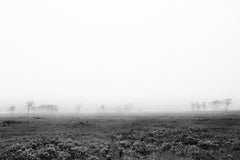 Landscape Photography