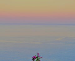 Série de couleurs sans titre I