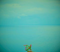 Série II sans titre