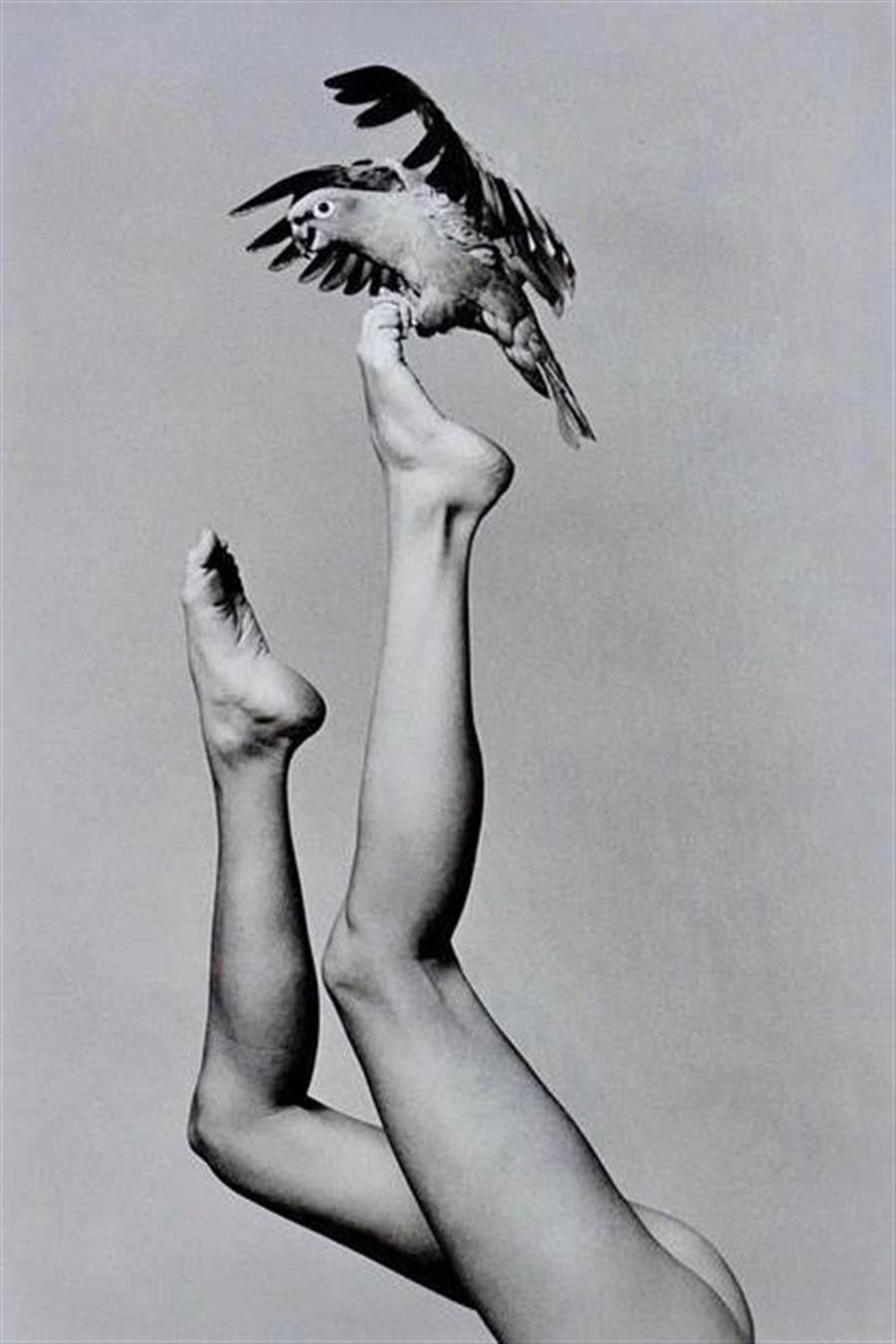 Christophe von Hohenberg Black and White Photograph - Wookie Feet