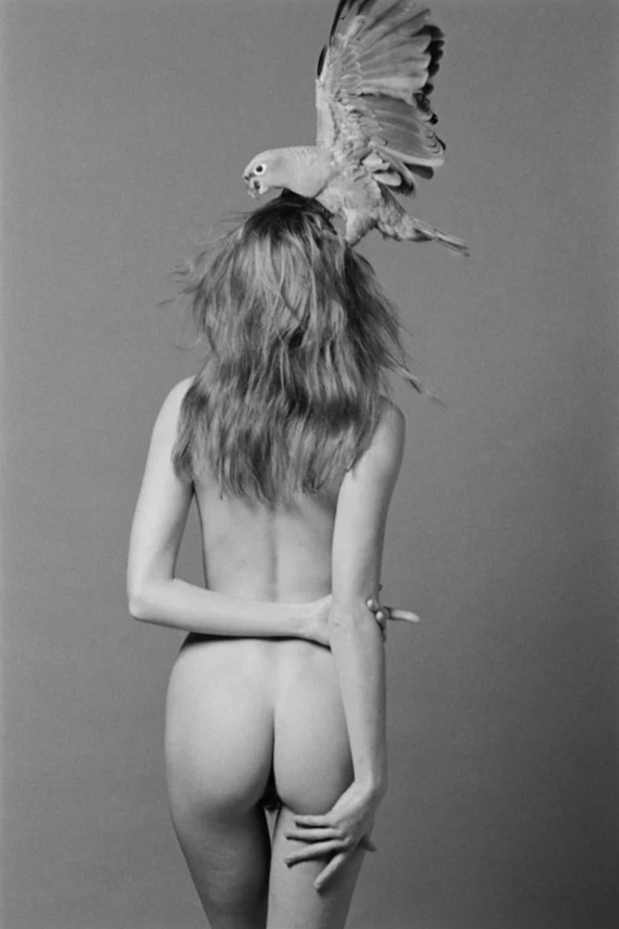 Christophe von Hohenberg Nude Photograph - Wookie Head