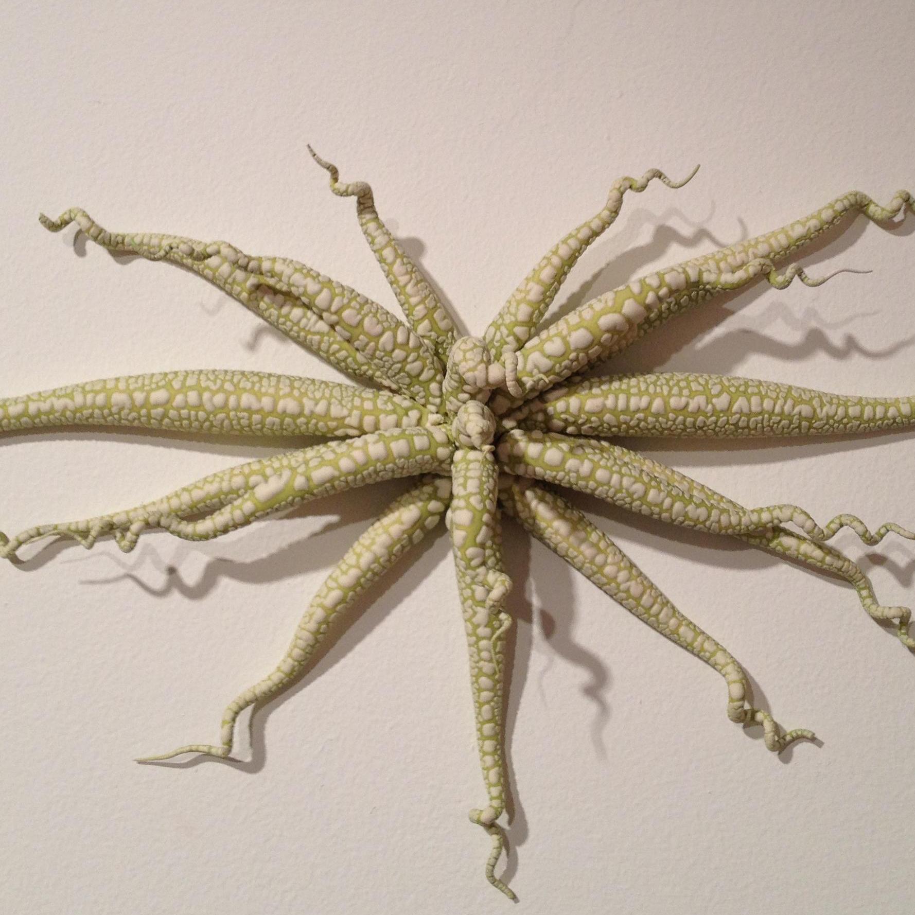 Christopher Adams, Untitled, Biomorphic ceramic sculpture, 2009 1