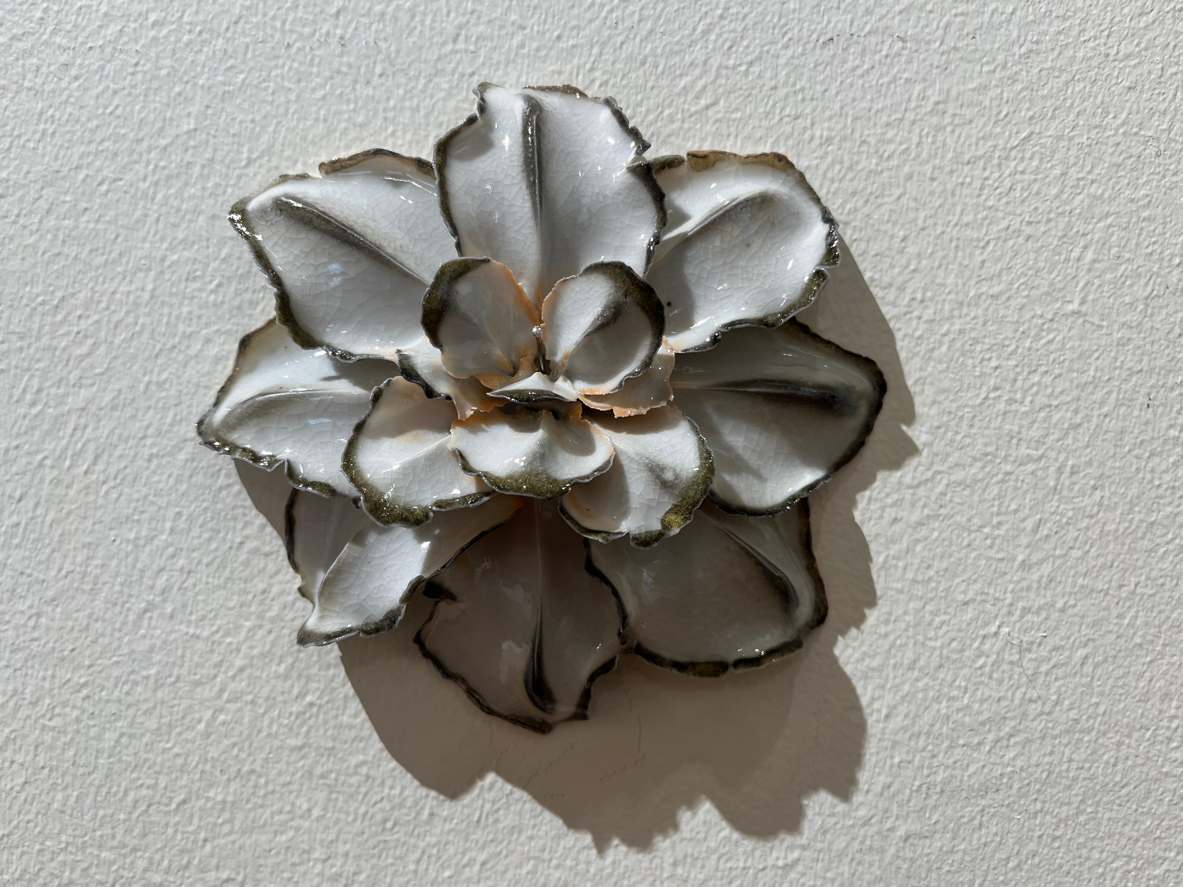 Christopher Adams Abstract Sculpture - Moment 3b, White Porcelain Floral Wall Sculpture, Crackle Glaze, 5x5x2 in.
