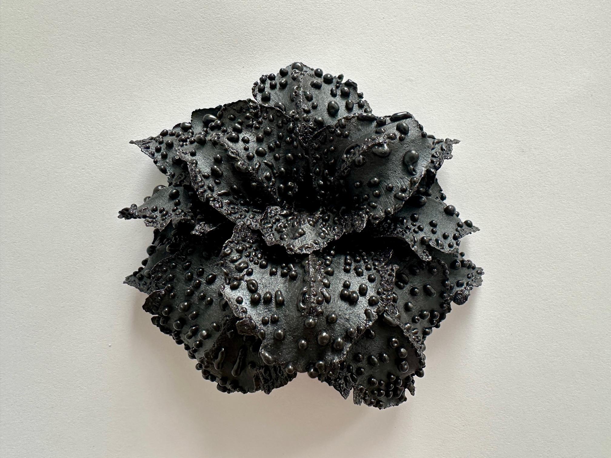 Christopher Adams Still-Life Sculpture - Untitled 262, Black Earthenware Wall Sculpture with Textural Relief, 5 x 5.25 in