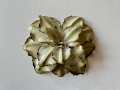 Senza titolo, CA243