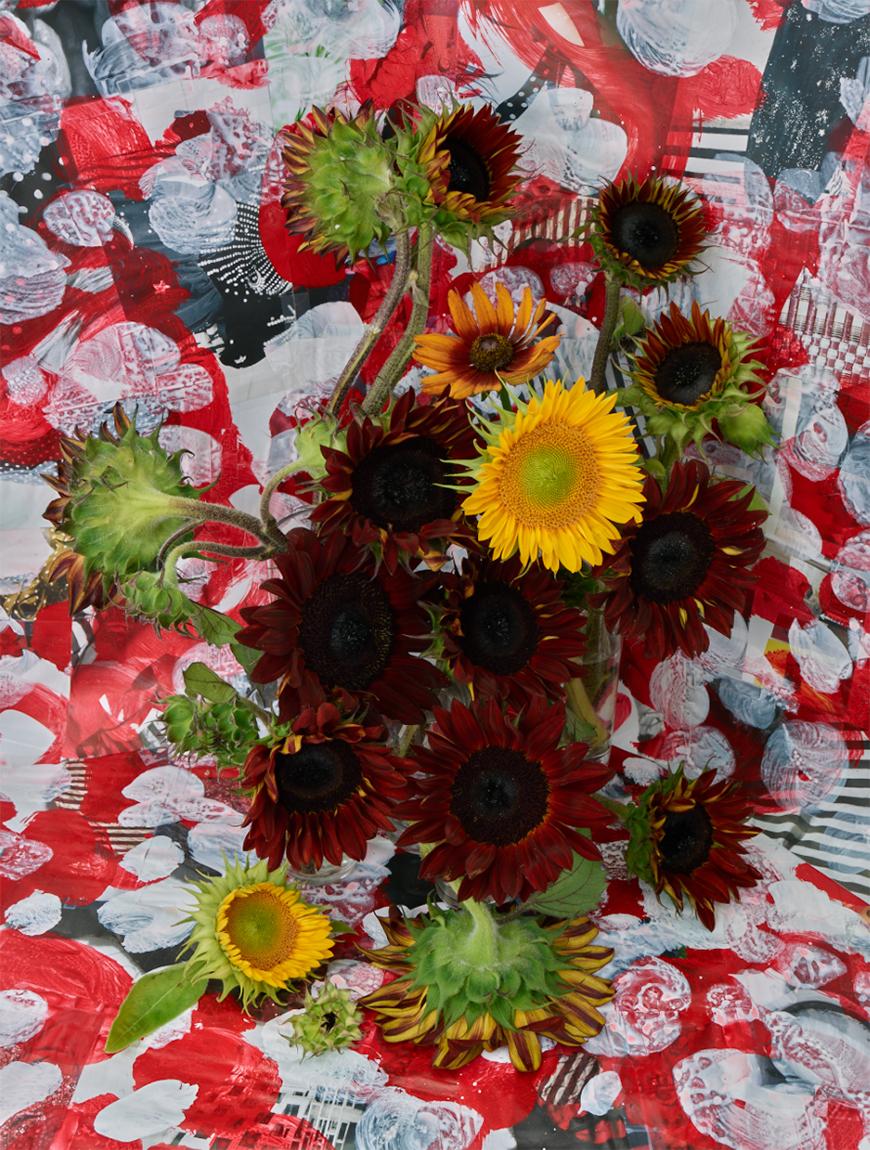 Christopher Beane Color Photograph - Chocolate Sunflower Color Study II (Baroquecoco Series)