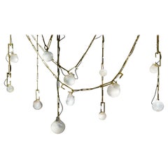 Christopher Boots, "Nepenthes Complex", Chandelier (Large)