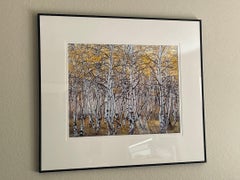 Black Mountain Aspen Forest, Utah