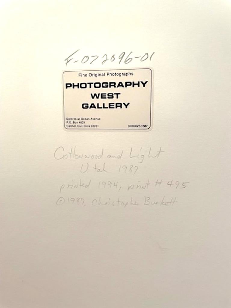 Cottonwood & Light, Utah 1