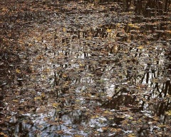 Landscape Photography