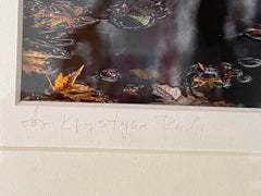 Feuilles flottantes sur la rivière au coucher du soleil