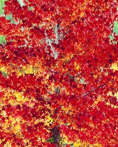 Fiamma della foresta