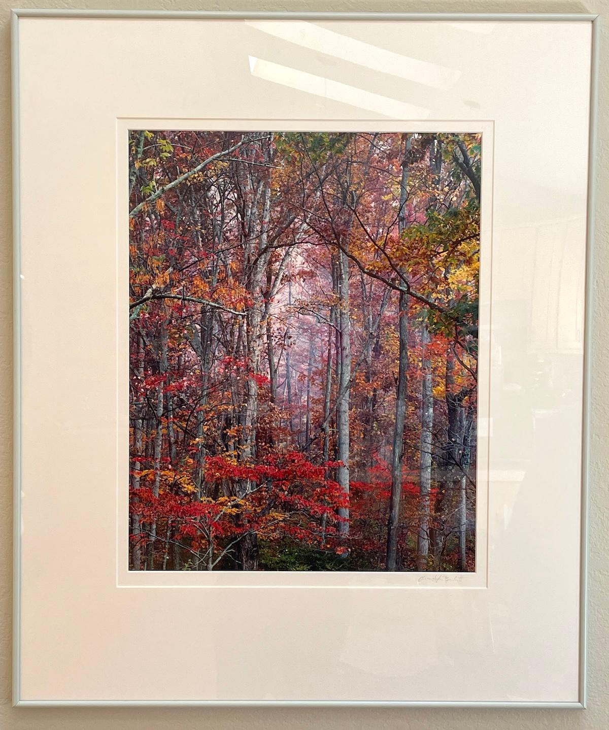 Glühender Herbstwald – Photograph von Christopher Burkett