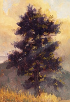 "Mountain Sunlight" by Christopher Clark, Original Painting, Sunlit Landscape