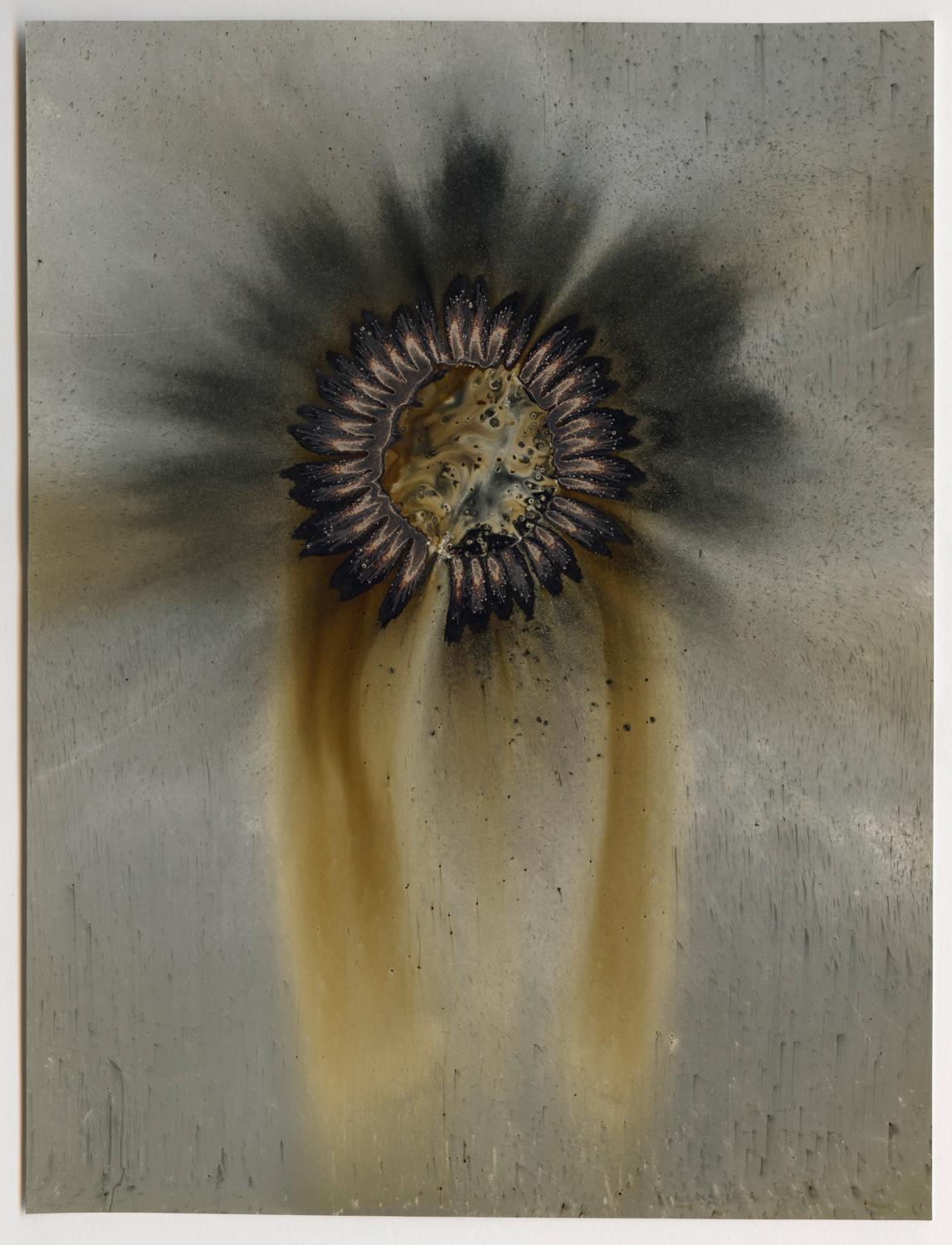 Abstract Photograph de Christopher Colville - Sin título (W.O.F 15-16)