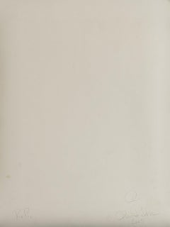 "Robert Rauschenberg" Christopher Felver, Porträt eines berühmten Künstlers