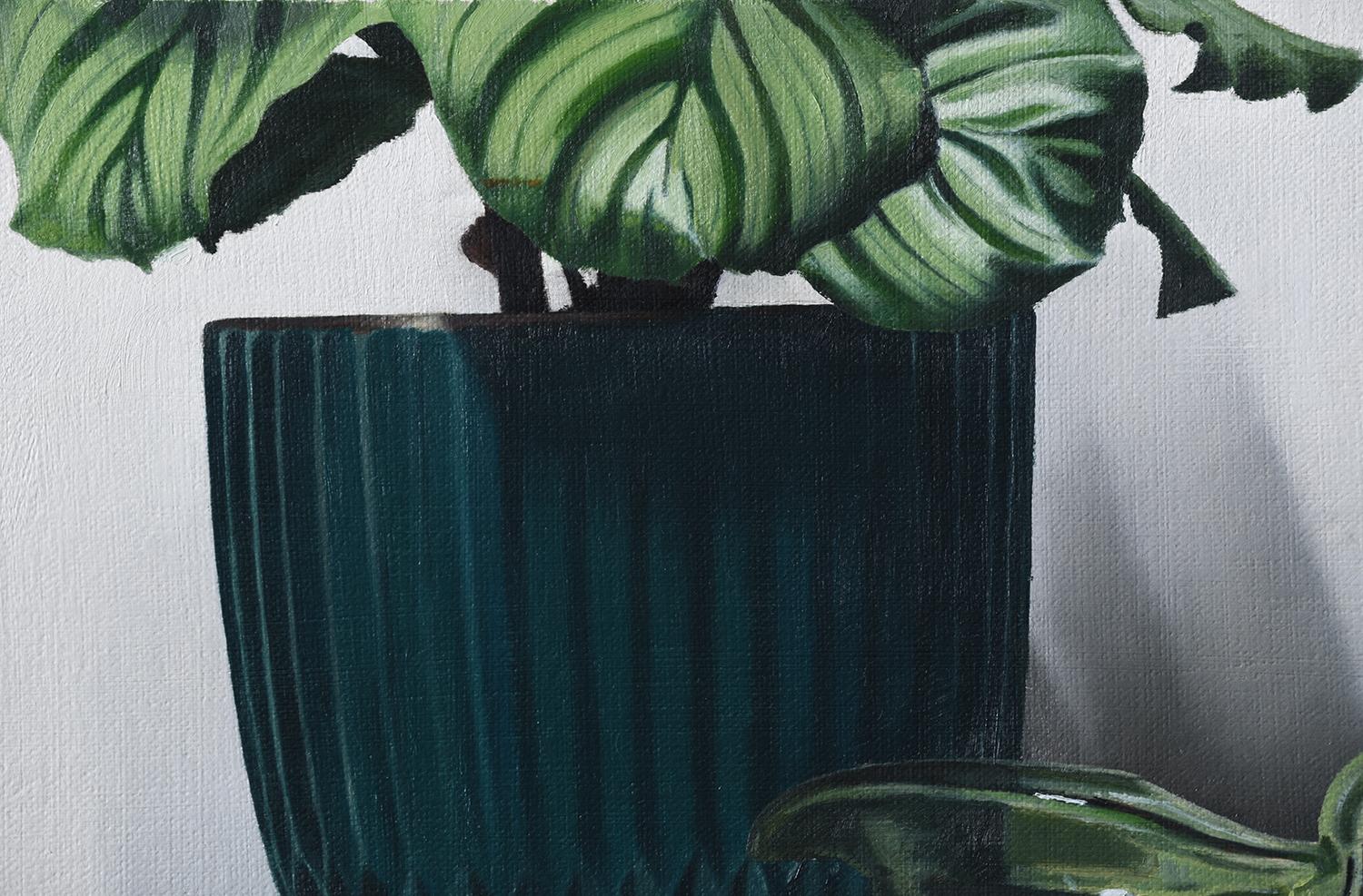 Calathea avec un pichet vert, peinture à l'huile en vente 1