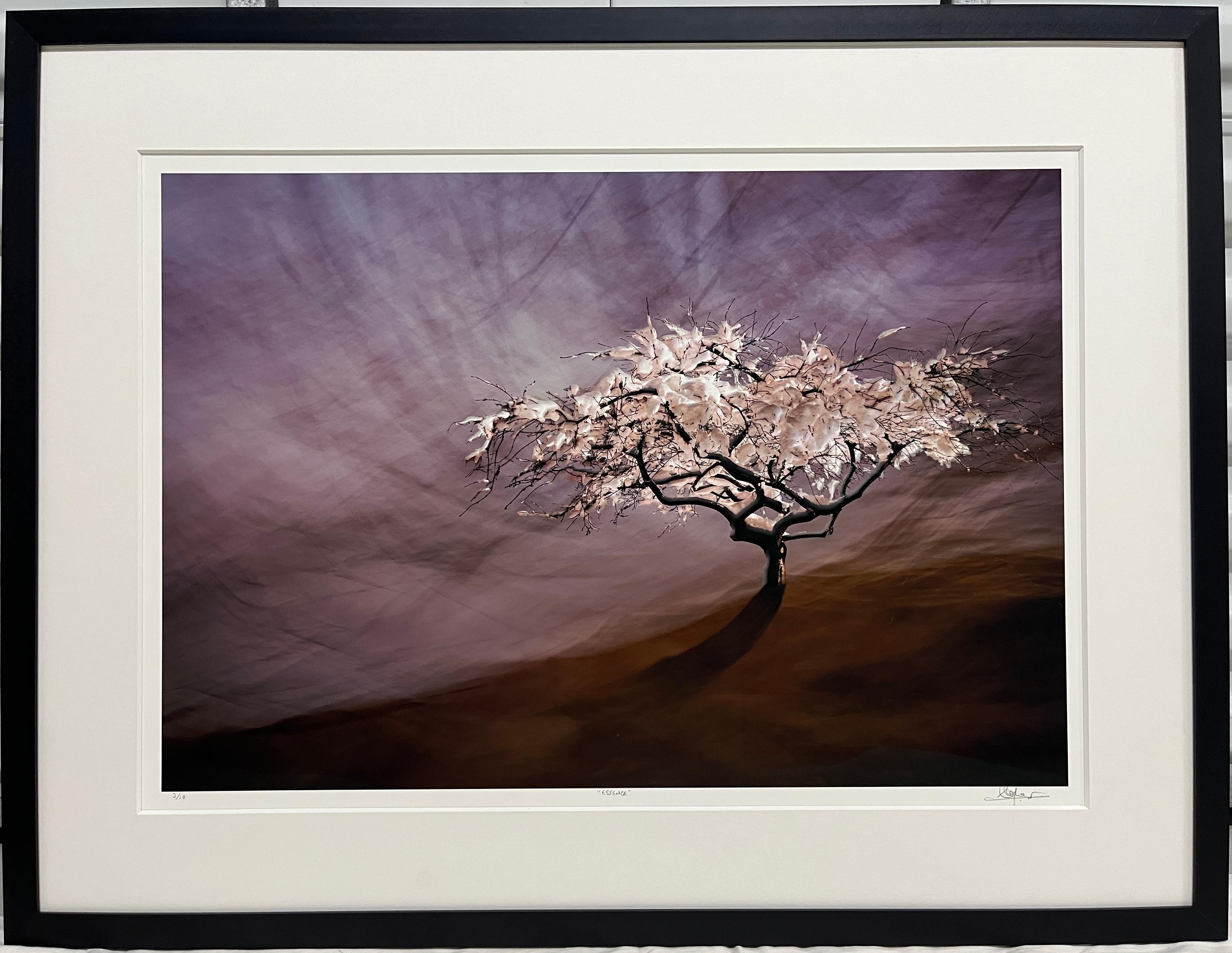 Esencia de vida - Photograph de Christopher Kennedy (Photo Luminism)