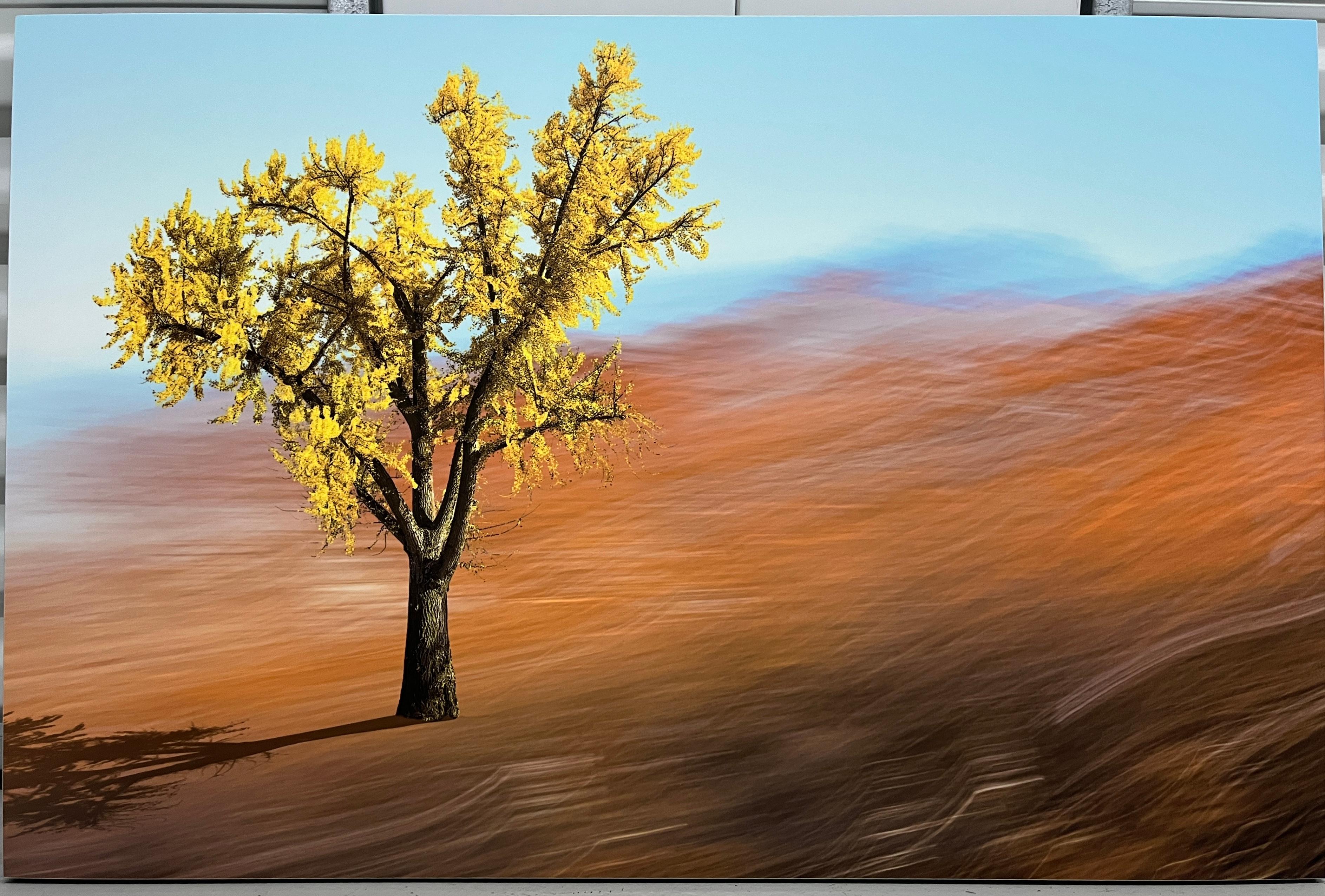 Ispirazione - Photograph di Christopher Kennedy (Photo Luminism)