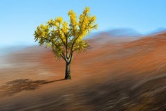 Inspiración