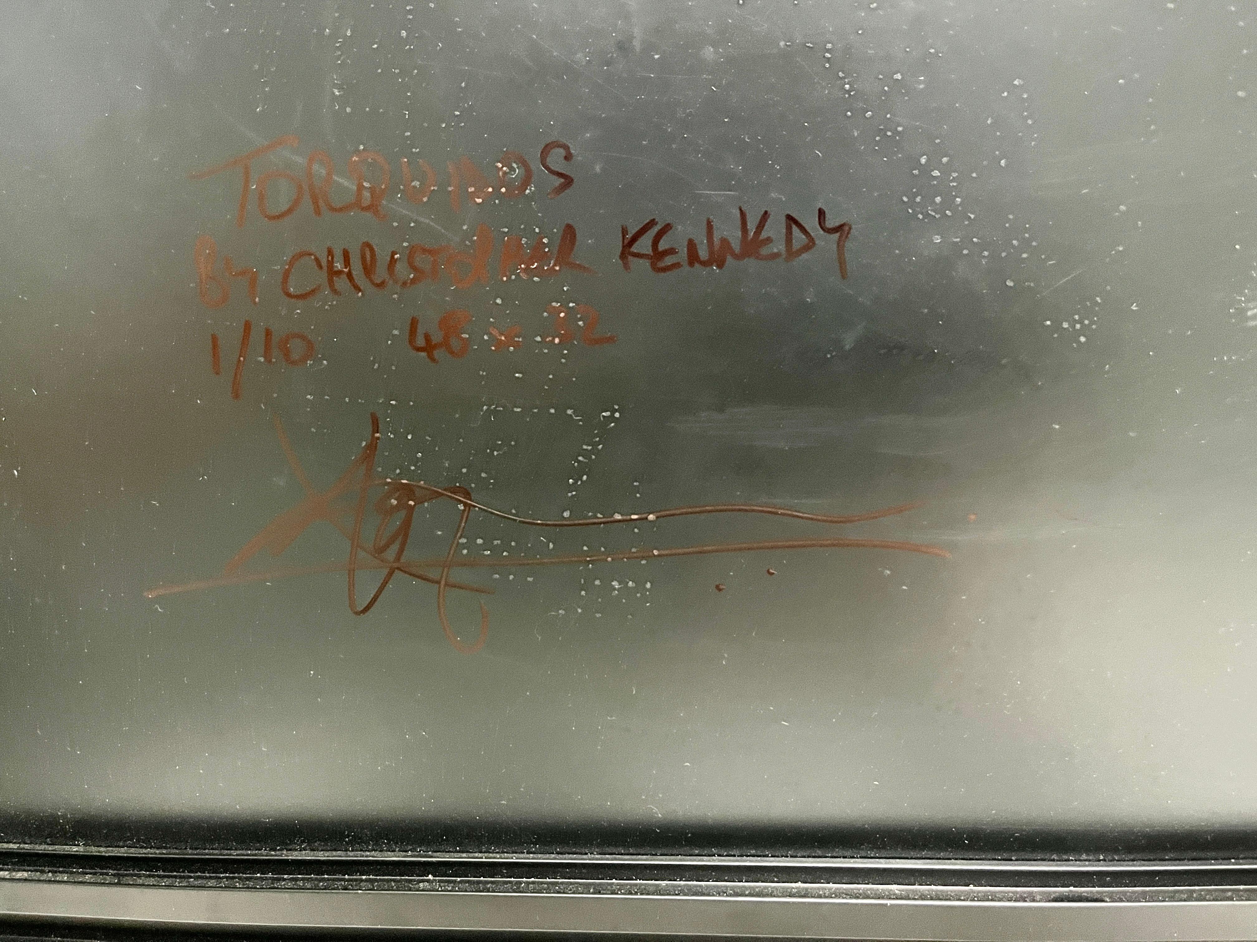 Torquidos en venta 1