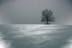 Whiteout
