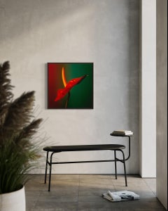 Impresión en color de la flor Anthurium en rojo, verde y amarillo