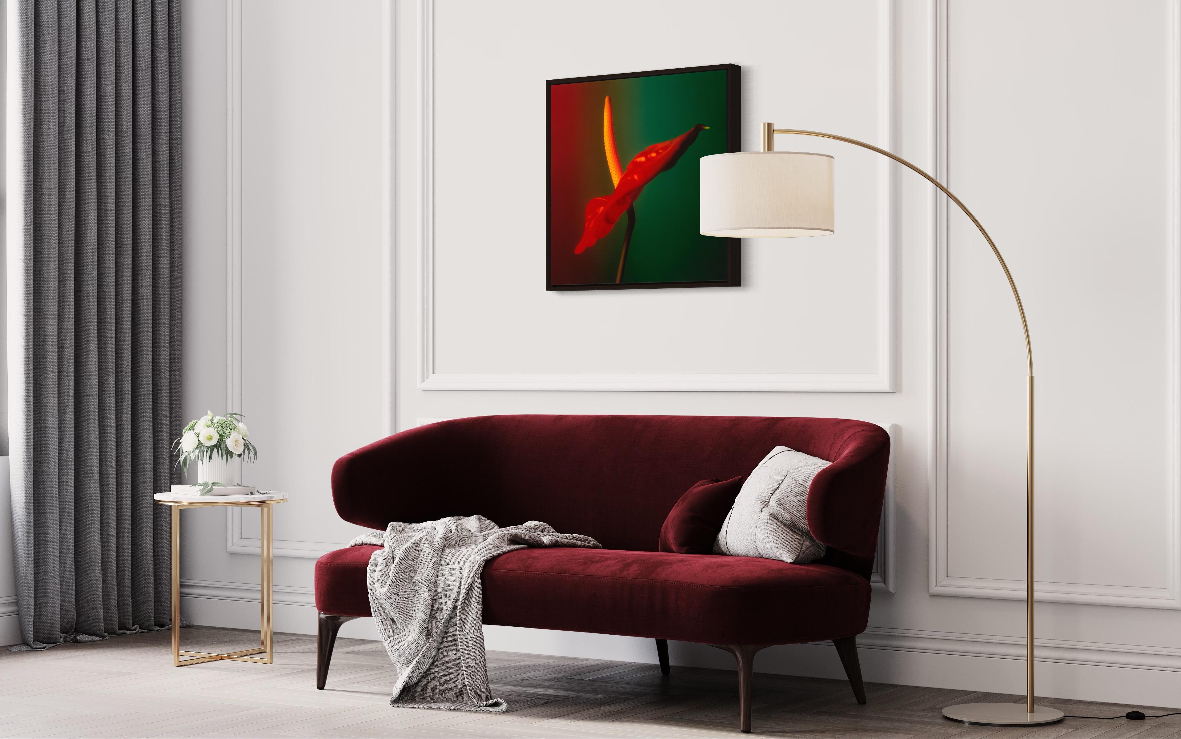 Colour Photograph of Anthurium flower in Red Green and Yellow, Custom framed For Sale 5